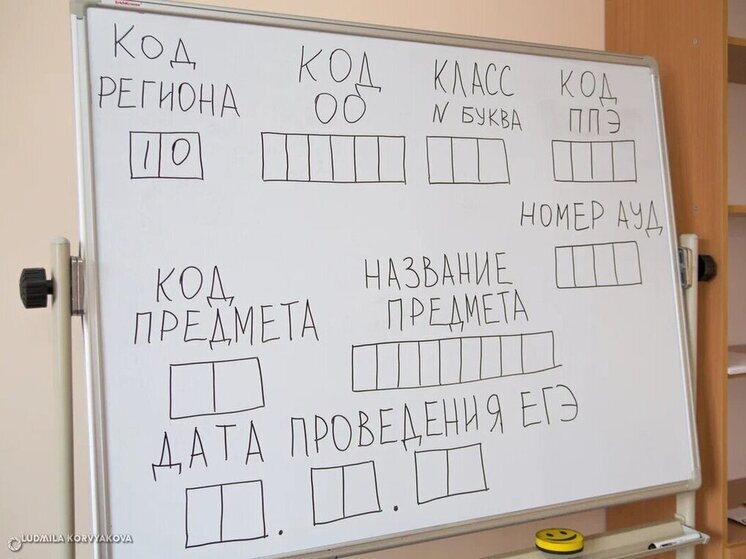 Три петрозаводских лицеиста показали высшие результаты на ЕГЭ по информатике