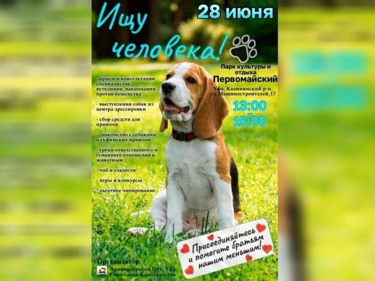 Традиционная акция «Ищу человека» пройдет в Уфе 28 июня