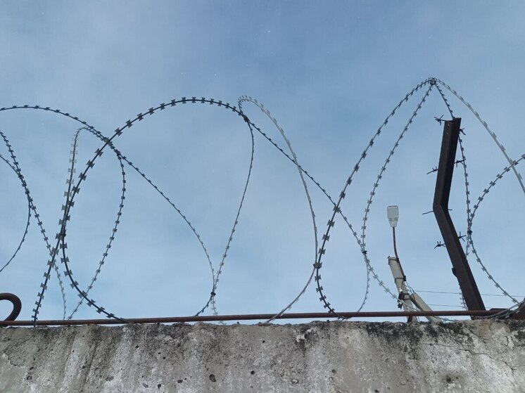 В Новосибирске по делу руководителей секты «Виссариона» в прениях выступил прокурор