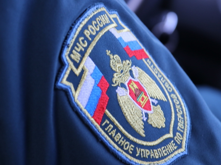 Пять техногенных пожаров потушили в Тверской области за сутки