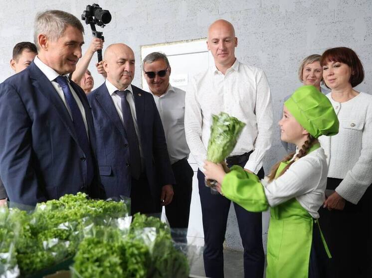 На месте пустыря — свежая зелень и рабочие места: в Стрелецкой первый урожай