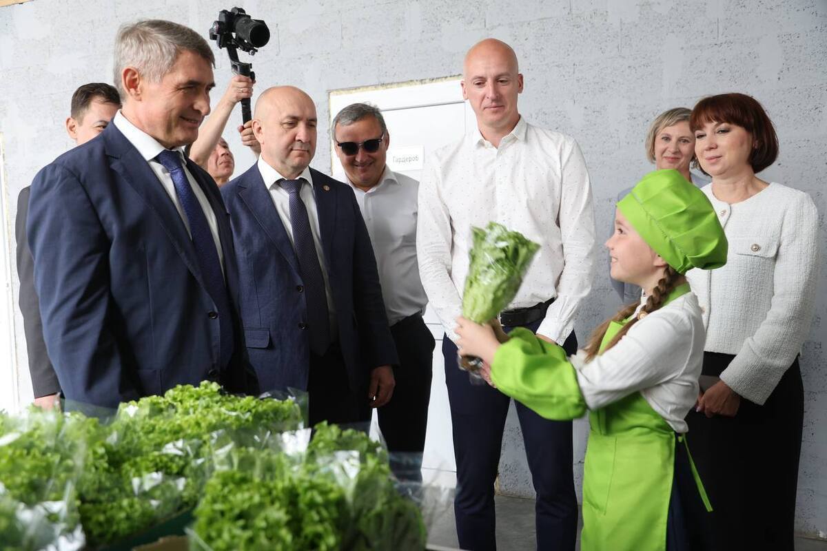 На месте пустыря — свежая зелень и рабочие места: в Стрелецкой первый урожай