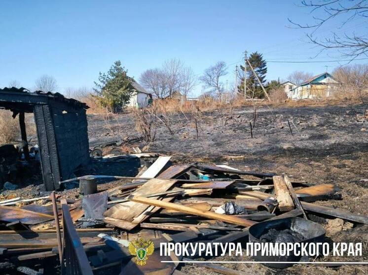 Суд обязал жителя Приморья оплатить тушение пожара на своем участке