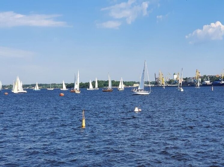 Выборг примет морской фестиваль «Паруса Выборга» 28 июня