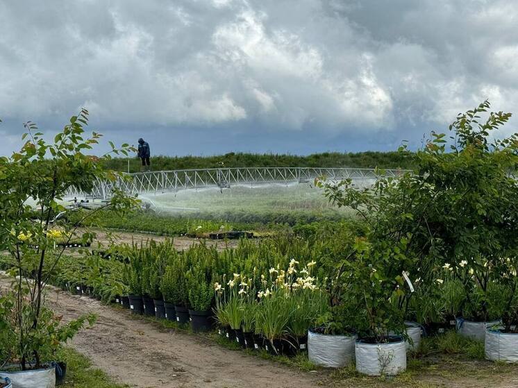 В Калужской области масштабируют опыт хвастовичского питомника