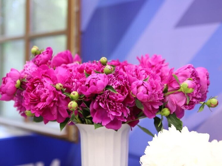 "Пиономания" расцветет в Иркутске