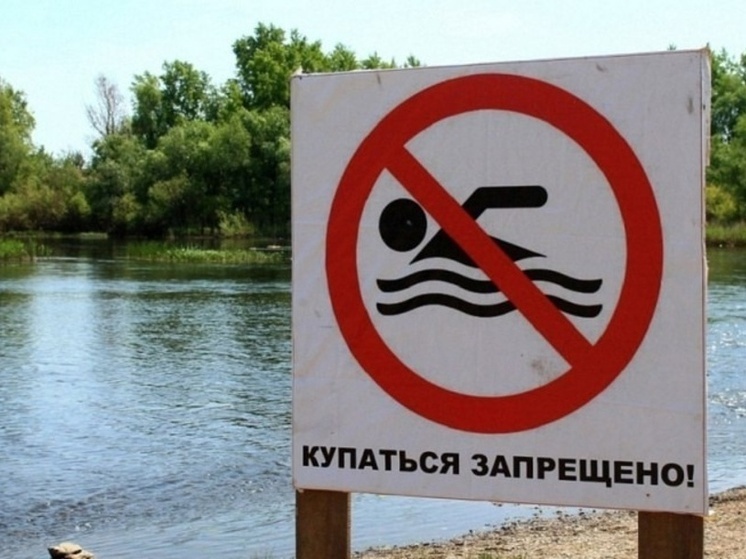 На двух тамбовских пляжах запретили купаться