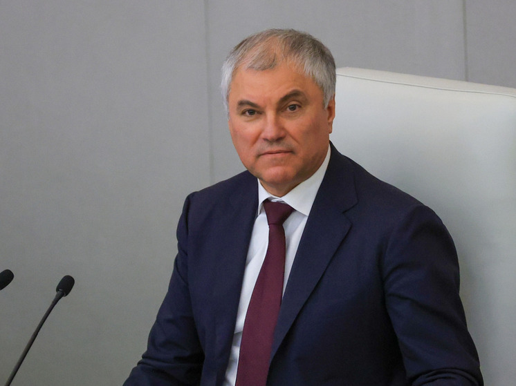 Володин: принятые Госдумой законы по борьбе с нелегальной миграцией заработали