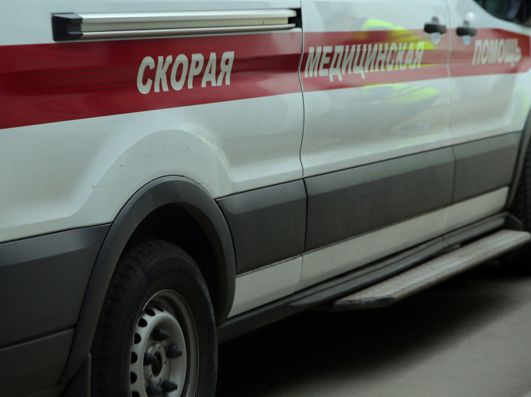 Появились данные о состоянии малыша, пострадавшего в аэропорту Подмосковья