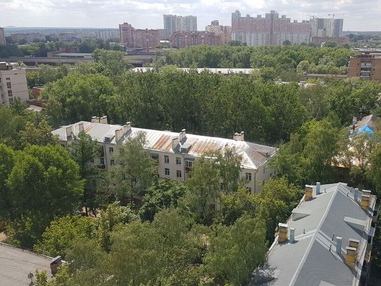 «Желтый» уровень погодной опасности объявили в Подмосковье