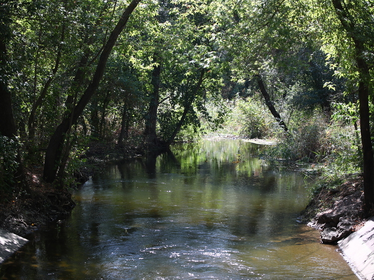 В Волгоградской области продлили запрет на посещение лесов до 17 июля