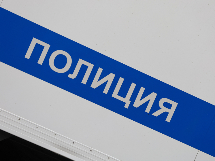 В детском лагере под Тулой 14-летний подросток изнасиловал 11-летнего ребенка