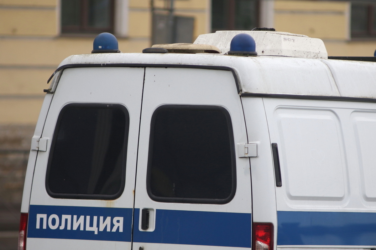 Полиция Петербурга разыскивает автора бегущей строки про Гитлера на парковке