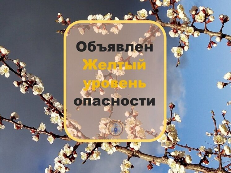 В Самарской области 25 июня объявлен желтый уровень опасности из-за грозы и ветра