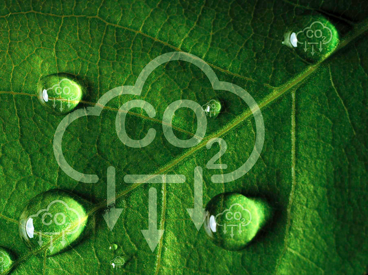 Германия — CO₂–таймер тикает: ученые объявили обратный отсчет