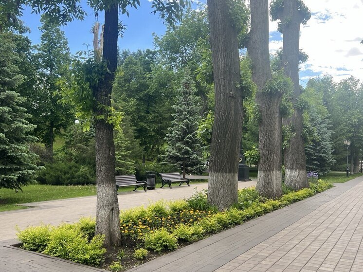 Какой сегодня день по народному календарю

25 июня по народному календарю — Петров день, посвящённый памяти апостола Петра, одного из главных святых в христианской традиции