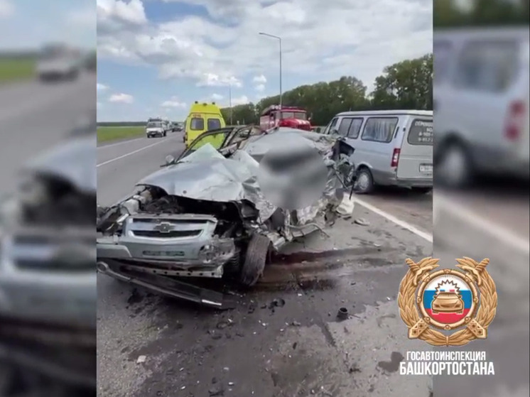 В Башкирии пенсионер погиб после столкновения с грузовиком