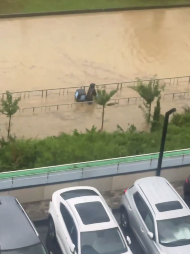 В Сочи на кадры попал курьер с грузом во время непогоды