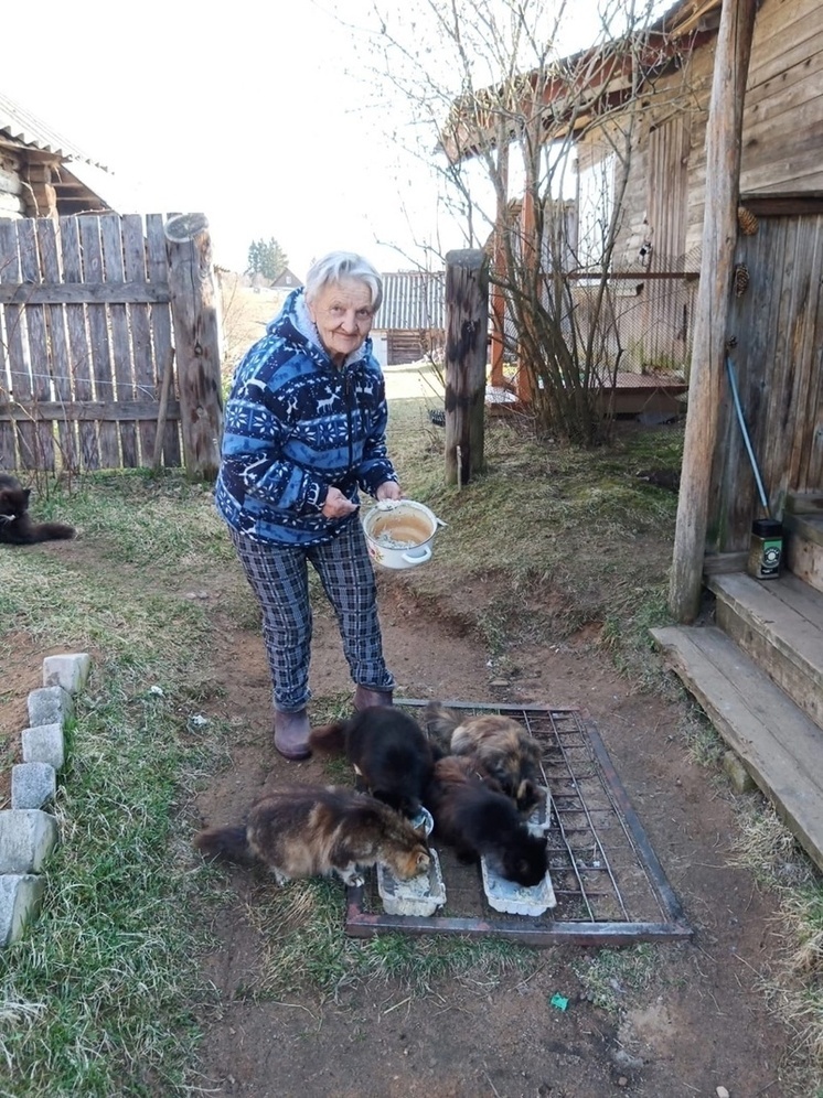В Тверской области 78-летняя бабушка ухаживает за животными, которых выкинули дачники