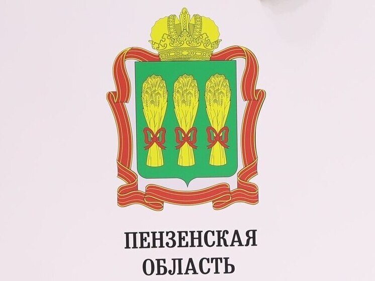 В Пензенской области уничтожили еще два беспилотника