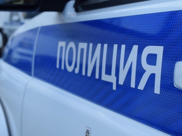 В Элисте задержали подозреваемого в краже телефона