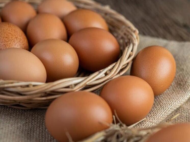 В Тамбовской области за пять месяцев производство яиц сократилось на 14,4%