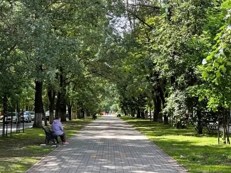 Калужский бульвар на Чичерина выиграл в голосовании по благоустройству