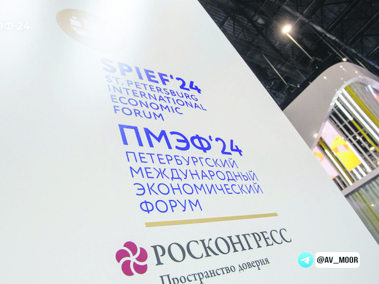 С 18 по 21 июня 2025 года Санкт-Петербург принимал гостей XXVIII Петербургского международного экономического форума (ПМЭФ)