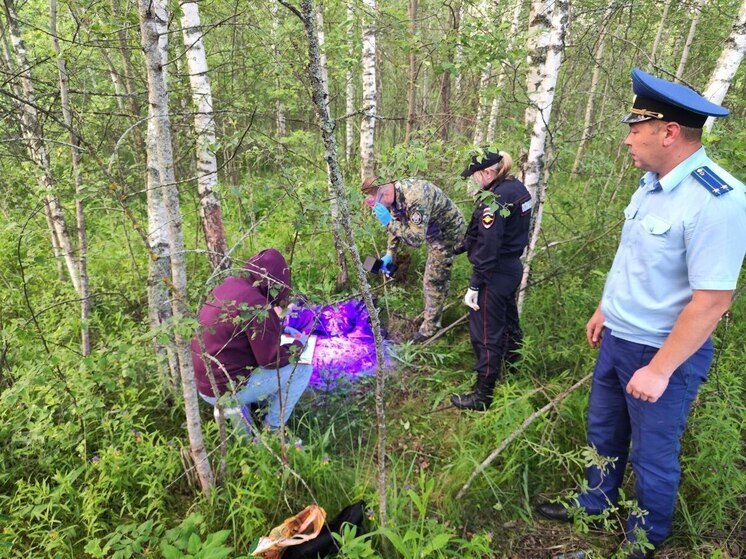 Труп женщины нашли в лесном массиве Износковского района