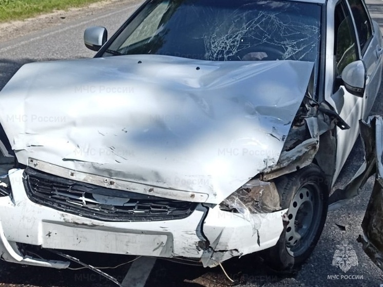 Пенсионерка погибла за рулём авто в Жуковском районе