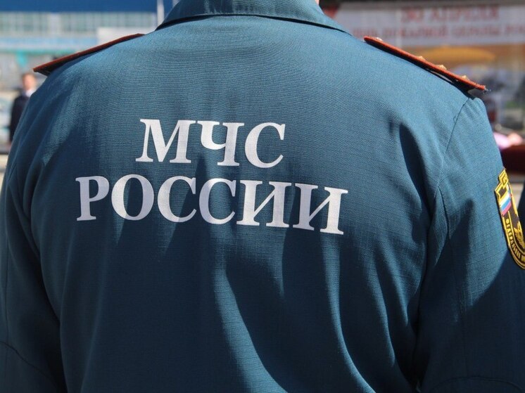 В ЕАО парень сжигал мусор и загорелся сам