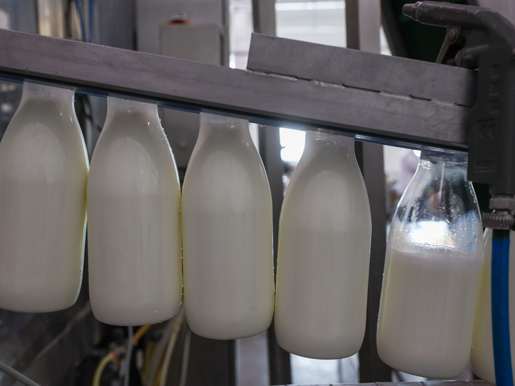 A los ancianos rusos se les dice qué cantidad de leche es peligrosa para el hígado.