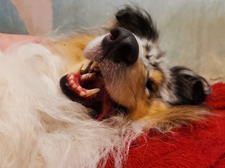 Жаркая и сухая погода сохранится в Приморье в последние выходные июня