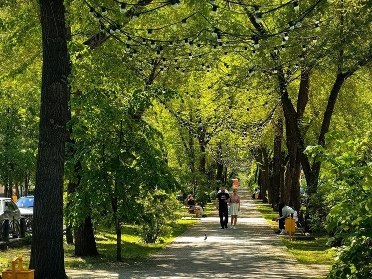 За объекты благоустройства проголосовали больше 40 тысяч жителей Хакасии