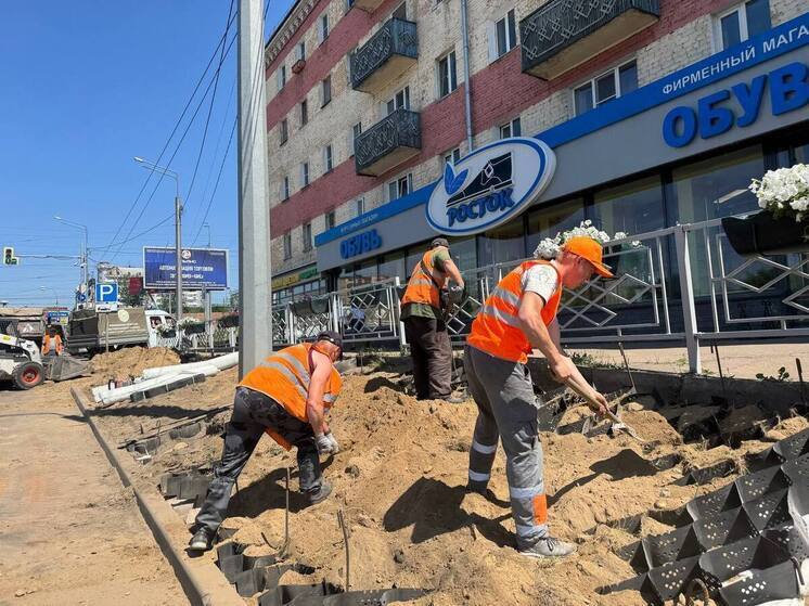 В Улан-Удэ стартовали работы по озеленению улицы Ербанова