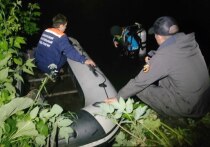Пропавший в Рязанской области пятилетний мальчик утонул