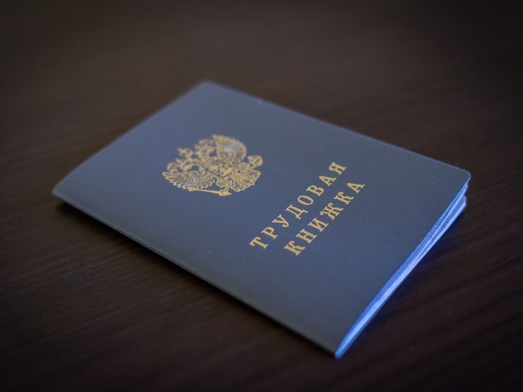 Более 50 тысяч жителей Карелии выбрали использование электронных трудовых книжек