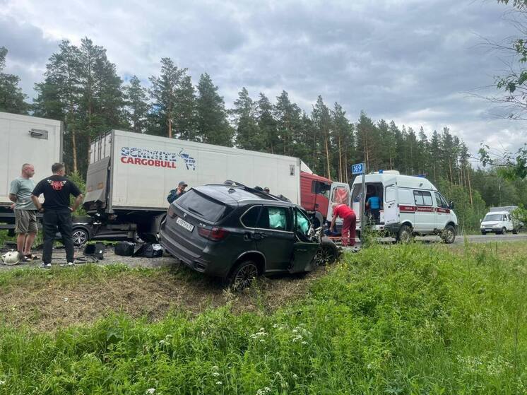 Стали известны подробности жесткого ДТП с грузовиком в Алтайском крае