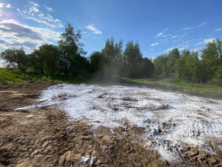 В Калужской области ликвидировали три скотомогильника