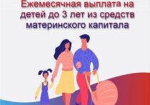 Семьи с неиспользованным остатком материнского капитала могут оформить ежемесячные выплаты на детей до 3 лет
