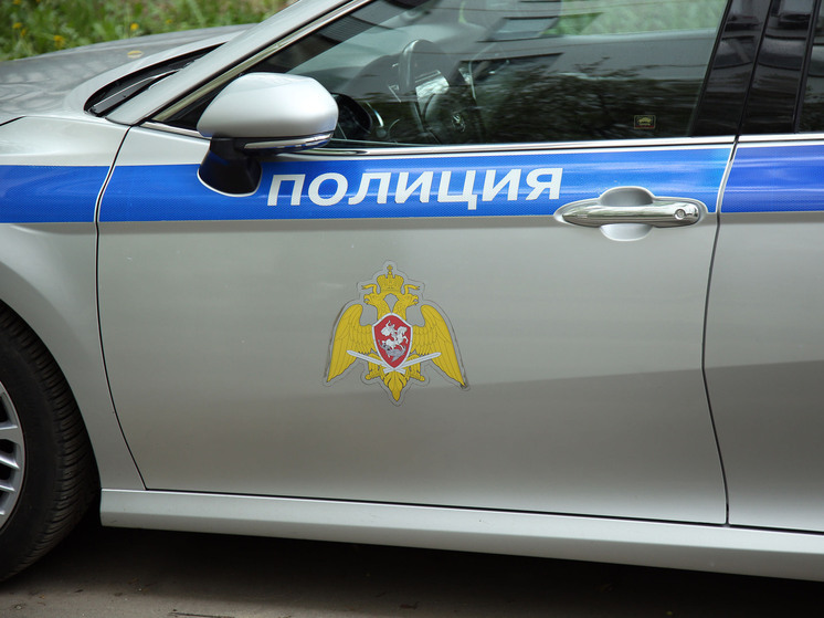 После драки в Люберцах полицейские проводят проверку