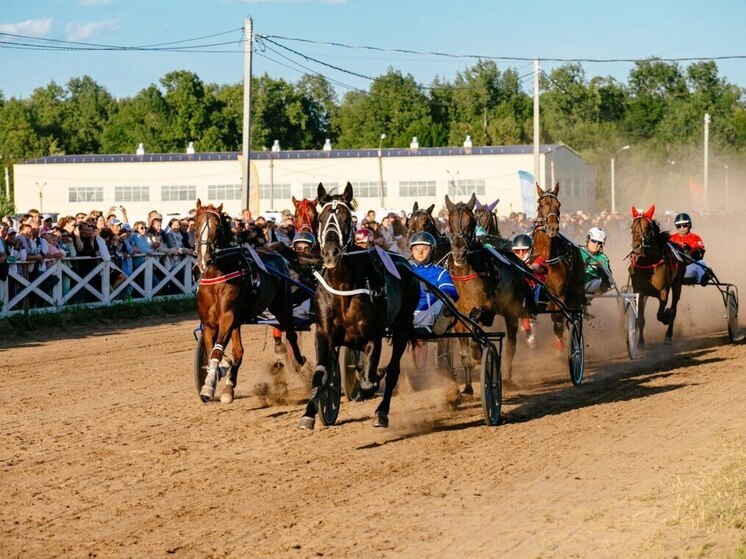 Архангел Лок стал победителем Кубка Главы Чувашии по скачкам