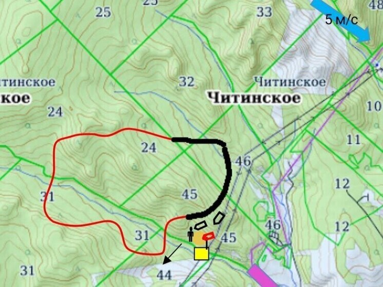Лесной пожар в Черновском районе ликвидируют вручную
