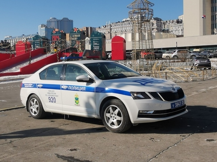 В Приморье задержан гражданин, находившийся в федеральном розыске за повторное нарушение ПДД