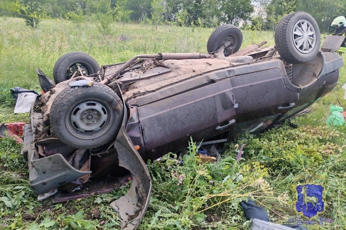 В Самарской области 66-летний водитель ВАЗ выехал на встречку и вылетел в кювет