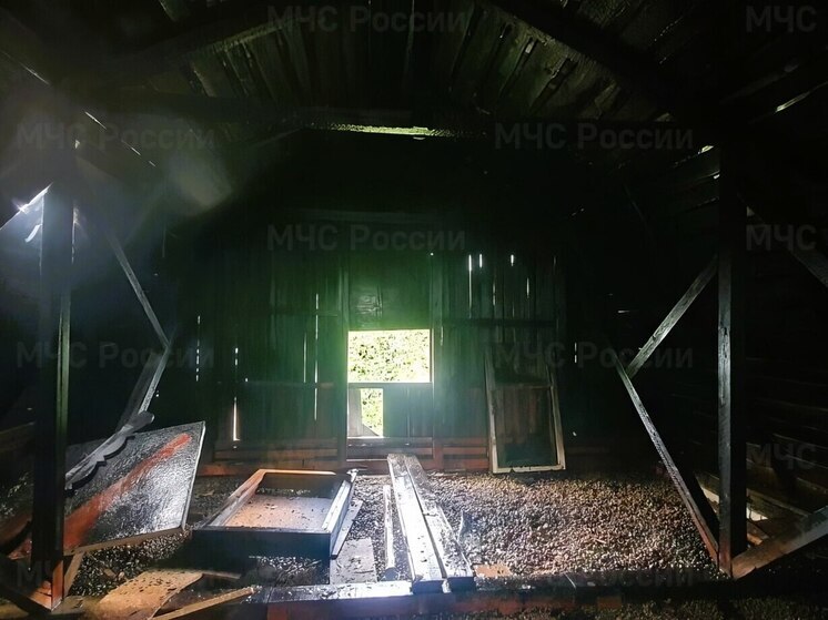 В Канашском округе пожар повредил жилой дом и летнюю кухню