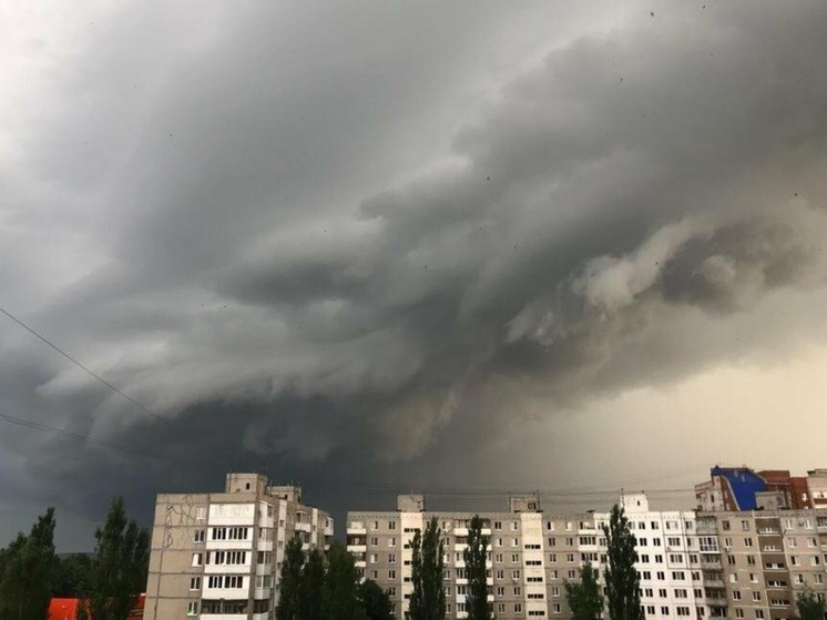Штормовое предупреждение объявили в Ростовской области