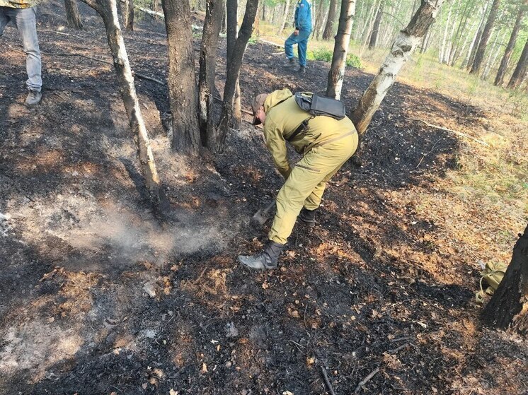 Страховку возместят добровольным лесным пожарным в Забайкалье