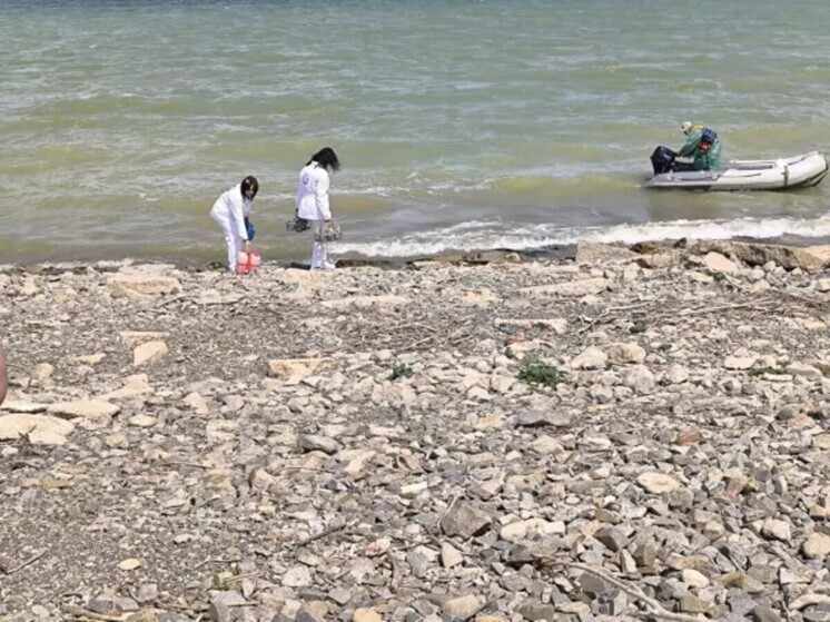 Цимлянское водохранилище за год обмелело почти на метр