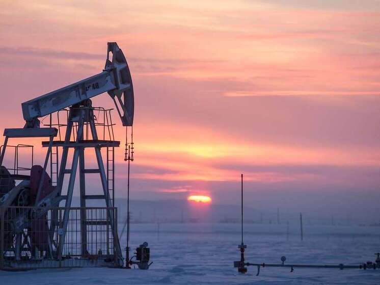 ДНР ищет инвестора для разработки промышленных запасов газа в Азовском море